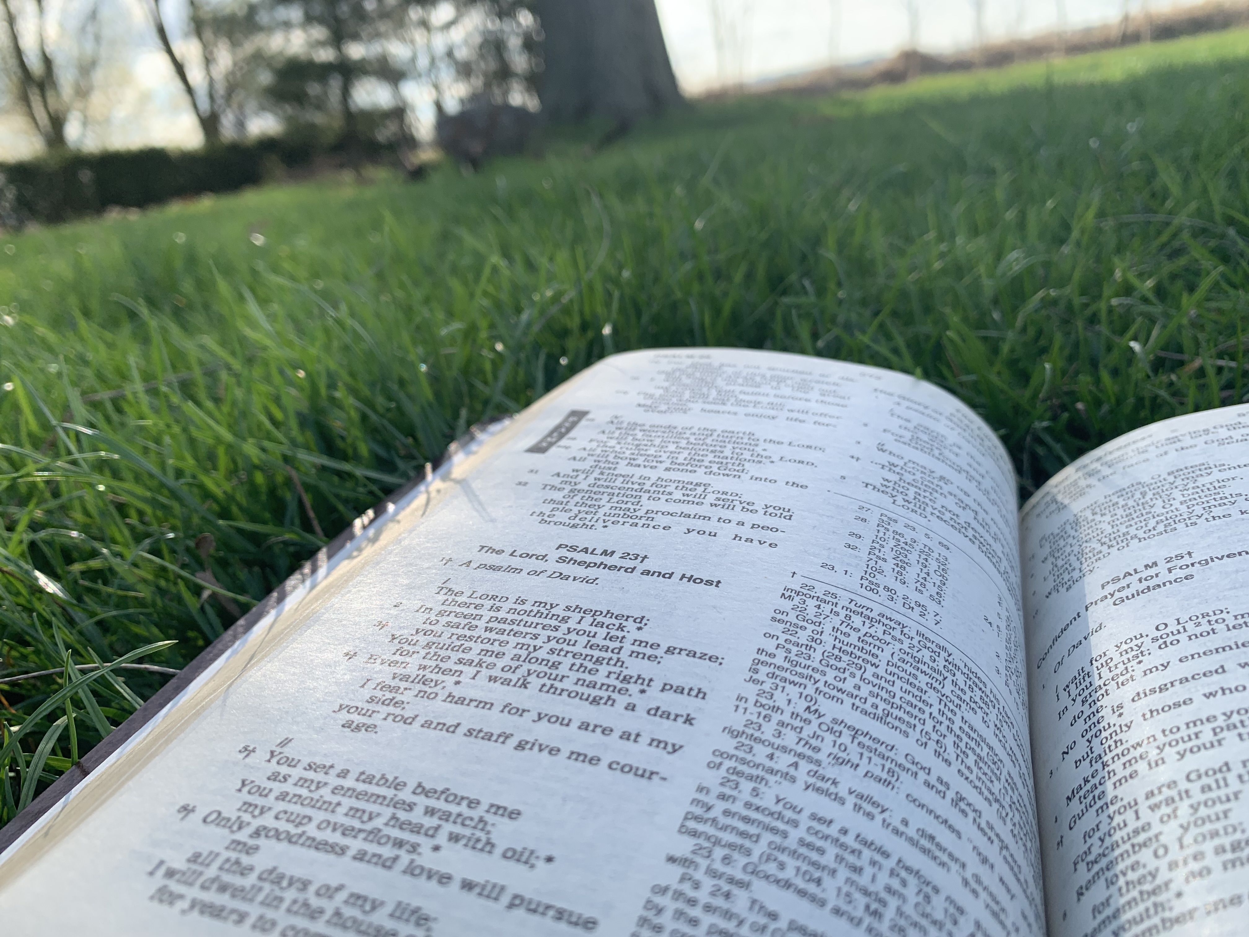 A picture of the bible outside.